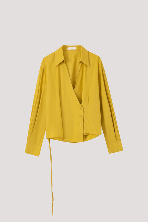 color:LEMON 2