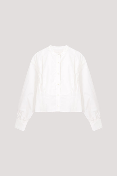 color:IVORY
