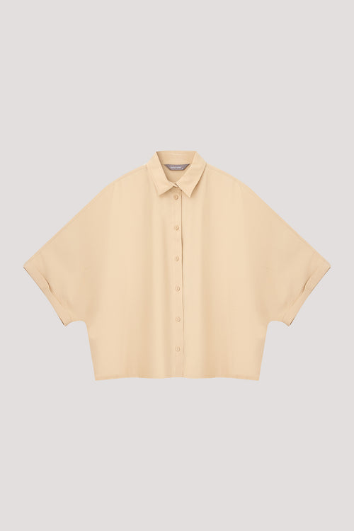 color:WHEAT