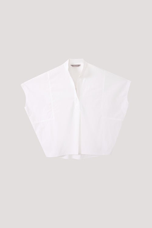 color:IVORY