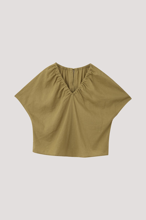 color:OLIVE