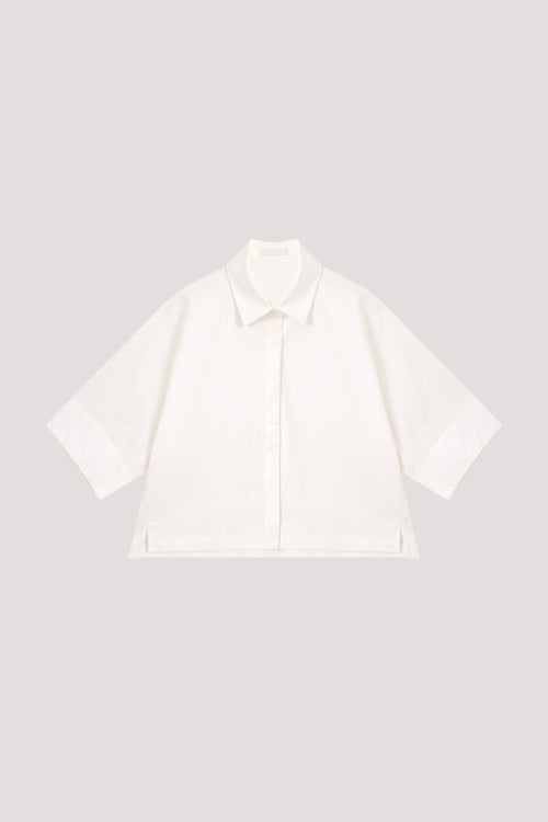 color:IVORY