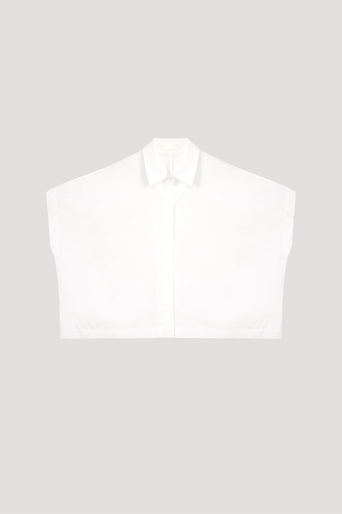color:IVORY