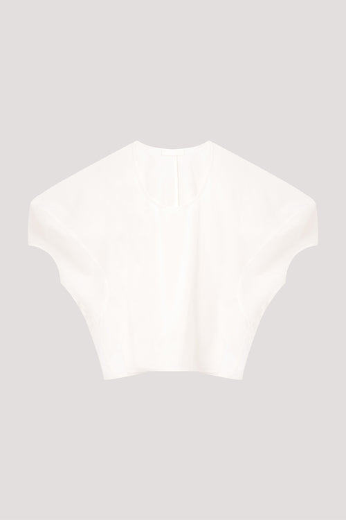 color:IVORY