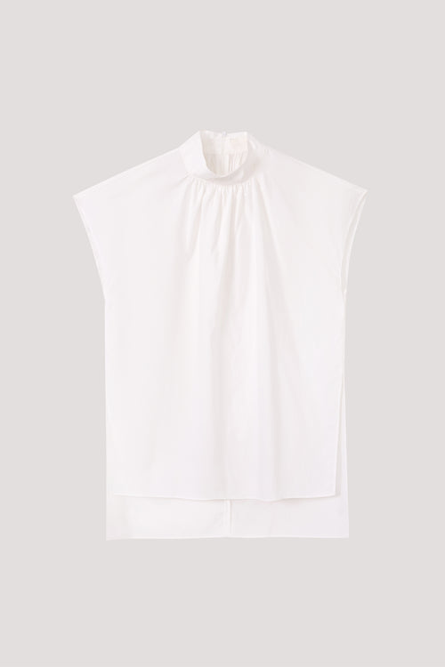 color:IVORY