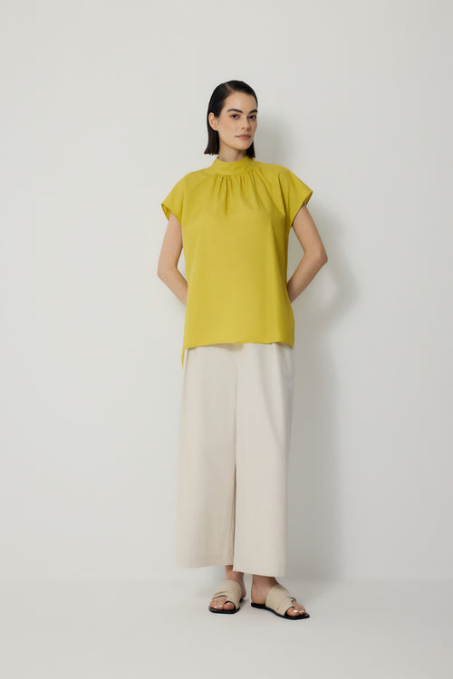 color:LEMON 2