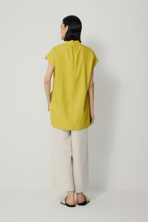 color:LEMON 2