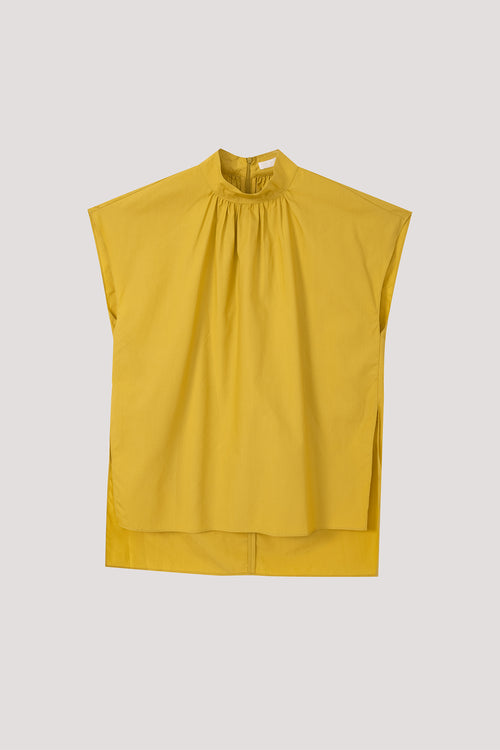 color:LEMON 2
