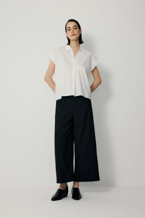 color:IVORY