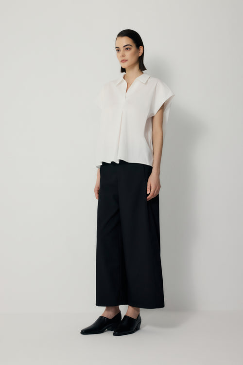 color:IVORY
