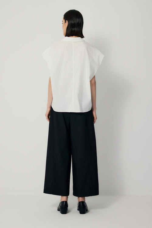 color:IVORY