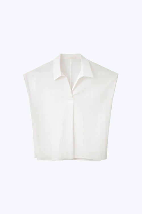 color:IVORY