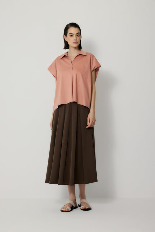 color:SALMON