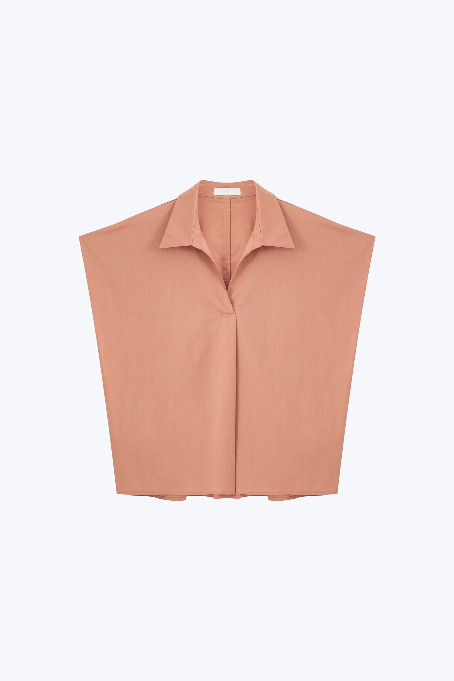 color:SALMON