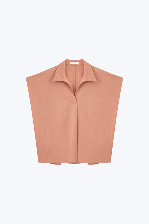 color:SALMON