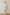 color:IVORY