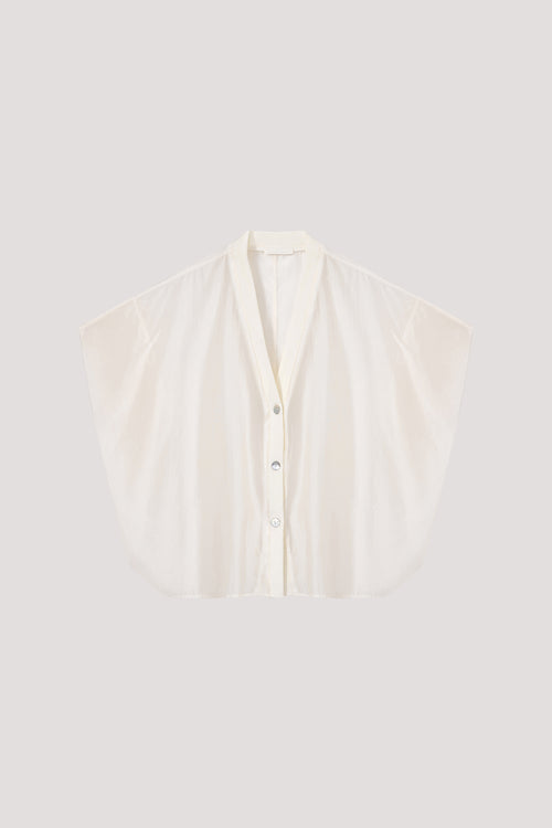 color:IVORY