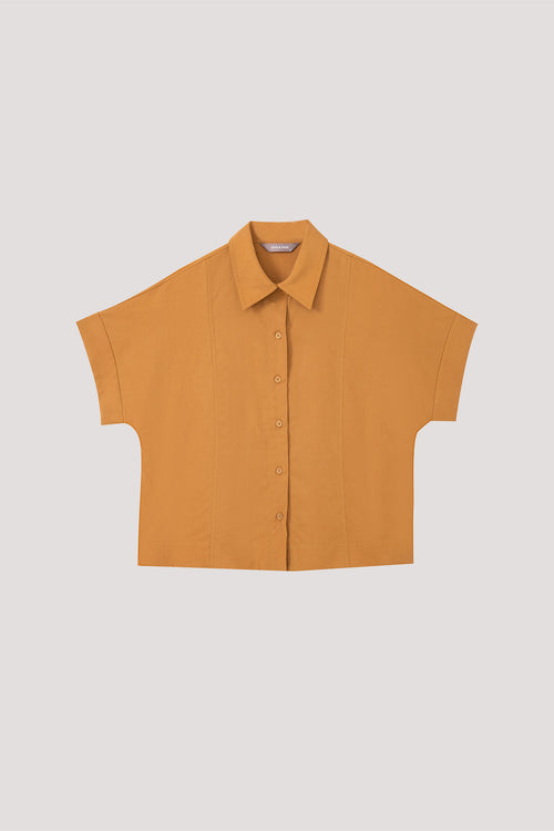 color:DIJON
