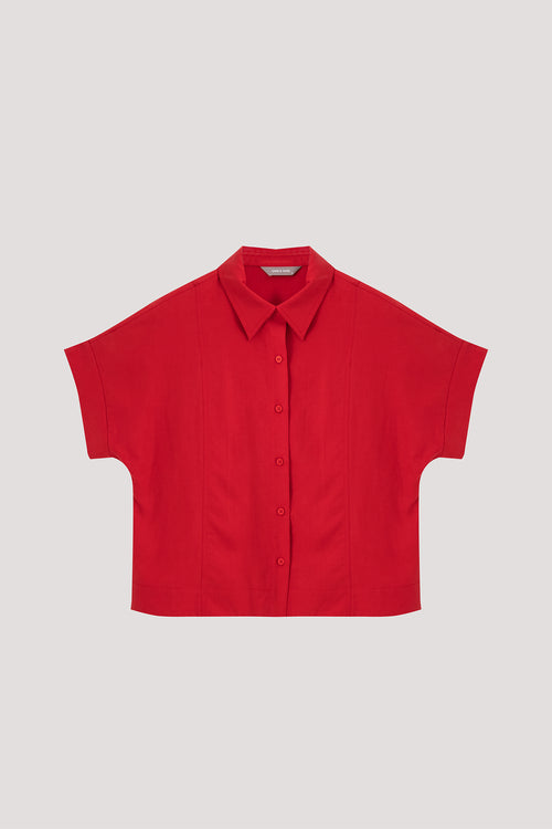 color:SCARLET