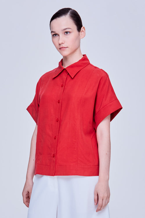 color:SCARLET