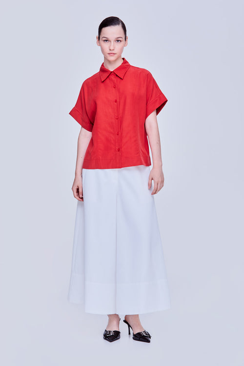 color:SCARLET