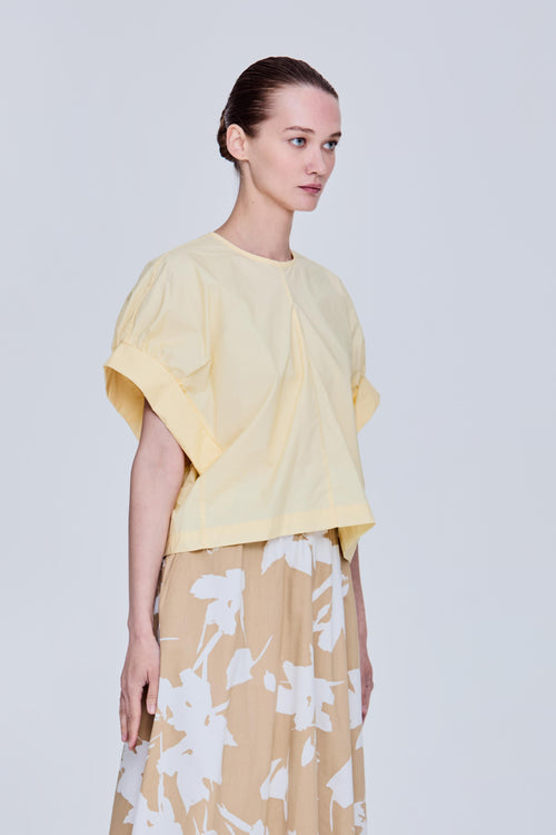 color:PALE YELLOW