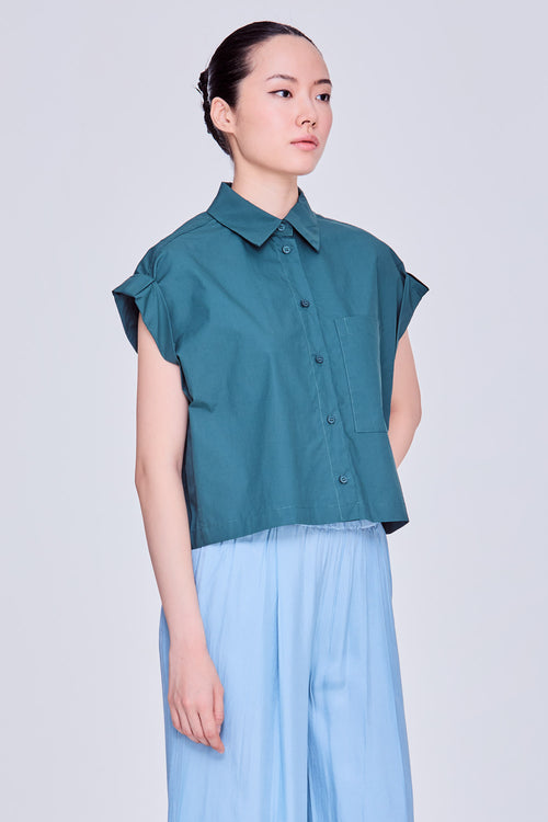 color:DARK GREEN