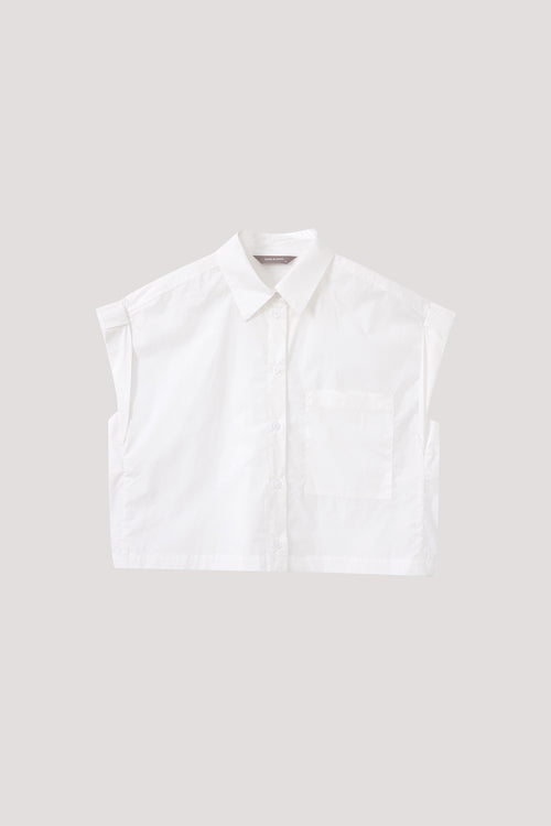 color:IVORY