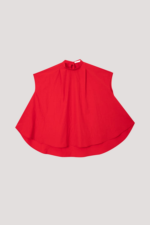 color:SCARLET