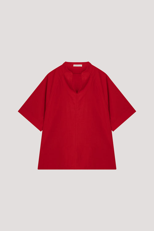 color:SCARLET