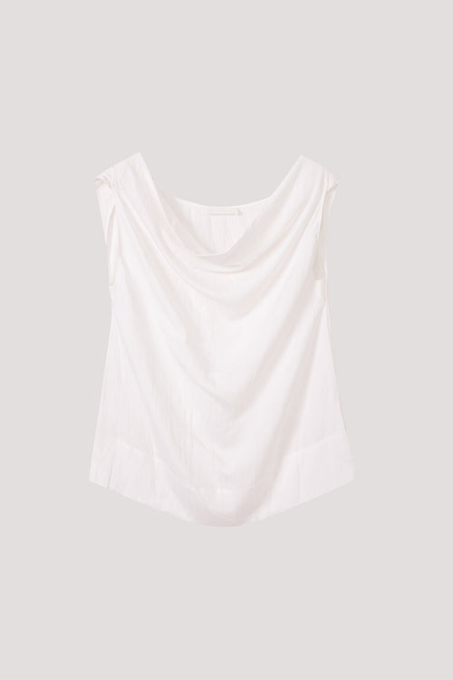 color:IVORY