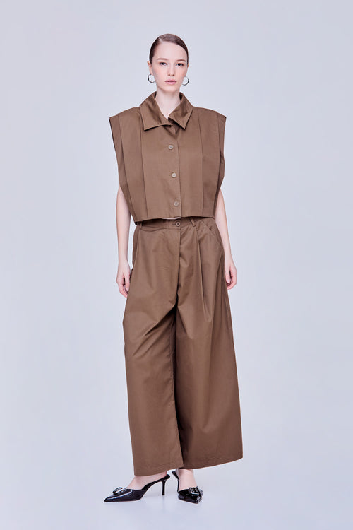 color:COCOA