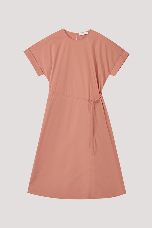 color:SALMON
