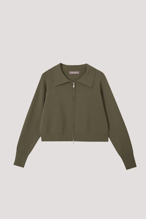 color:OLIVE