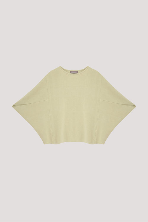color:LIGHT GREEN
