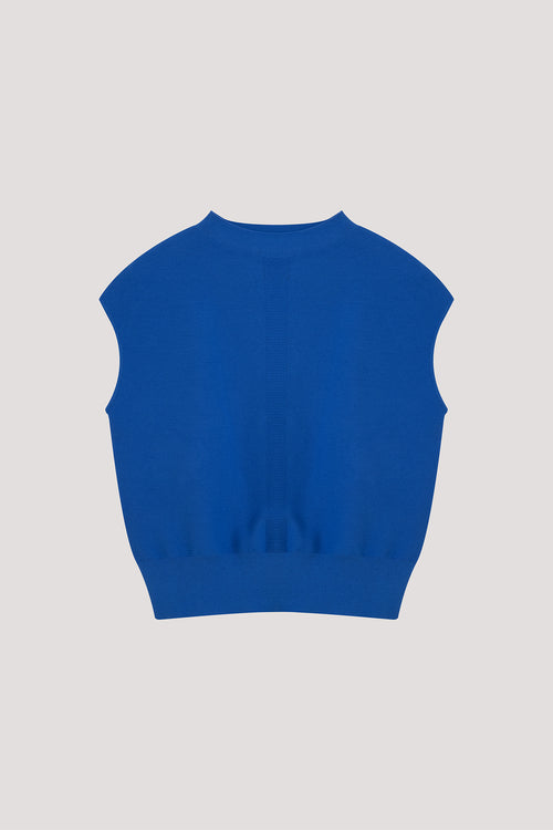 color:COBALT BLUE