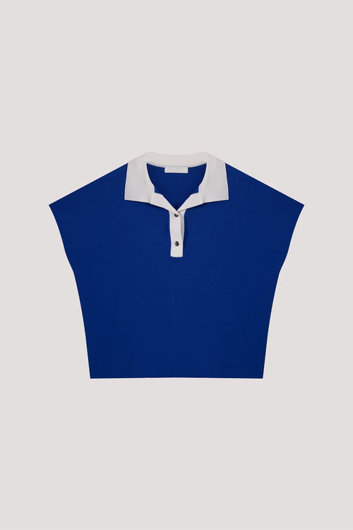color:COBALT