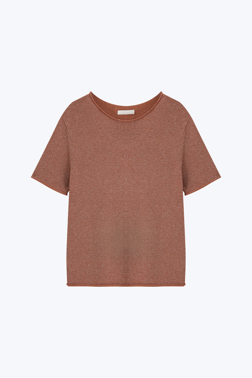color:SALMON
