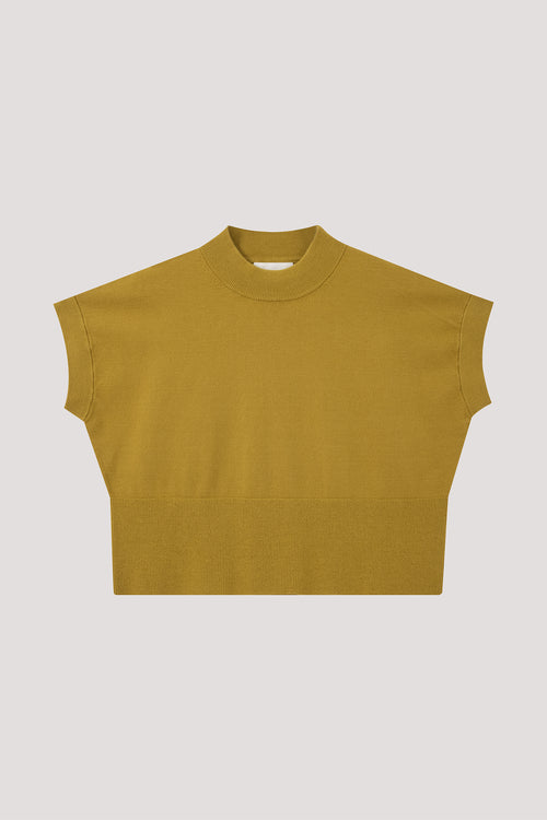 color:LIME YELLOW