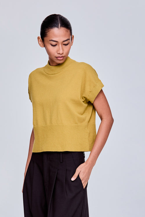 color:LIME YELLOW