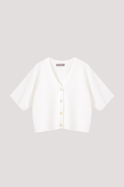 color:IVORY