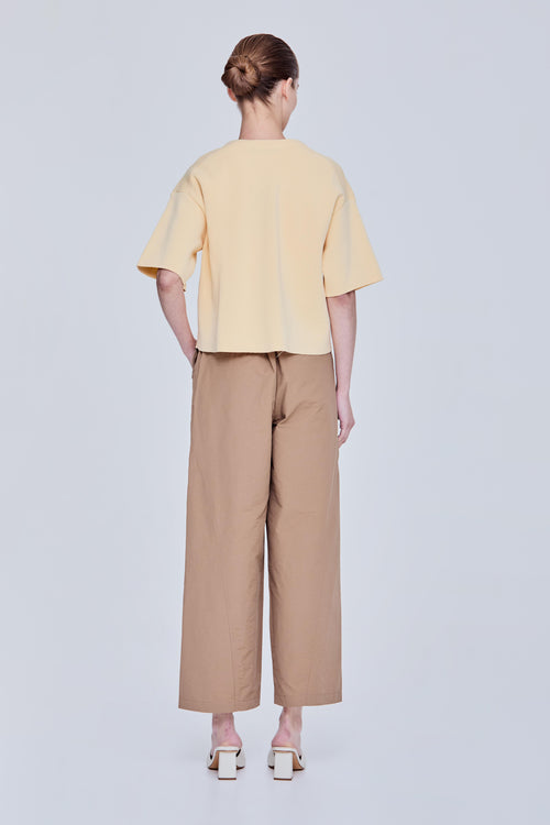 color:PALE YELLOW