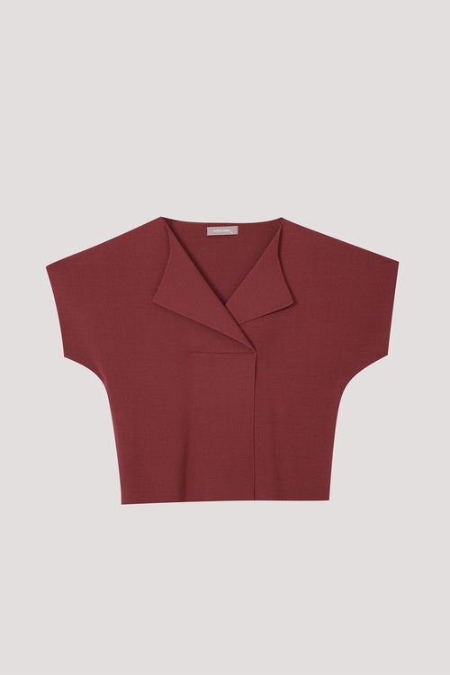 color:MAROON