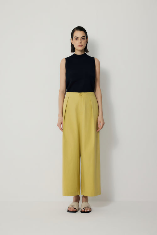 color:LEMON