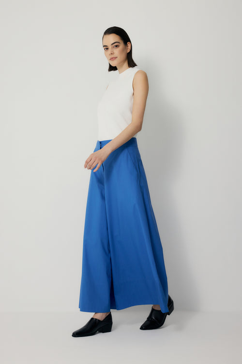 color:COBALT