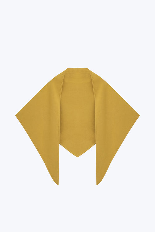 color:LEMON 2