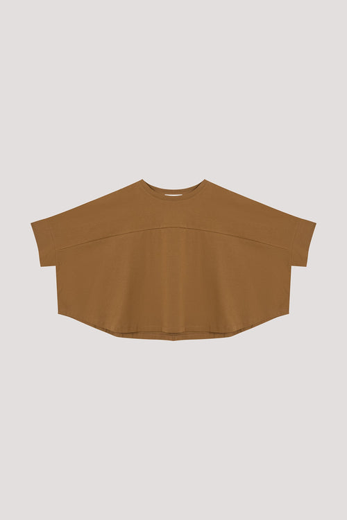 color:DARK OLIVE