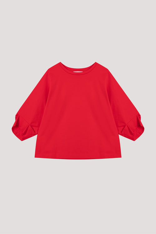 color:SCARLET