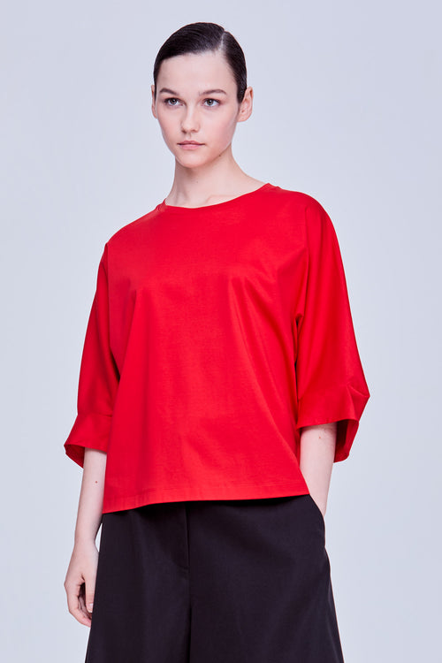 color:SCARLET