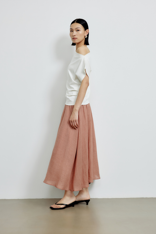 color:SALMON